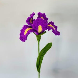 Handmade Crochet Iris Flower, Birthday Gift, home decor