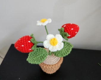 Handmade Crochet potted Strawberry, pot flowers, decoration flowers, artificial flowers, crochet flowers