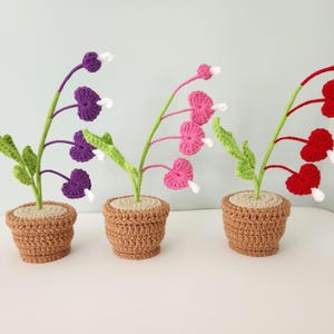 Può includere: Tre piante di cuore sanguinante all'uncinetto in vasi marroni. I fiori sono viola, rosa e rossi, con accenti bianchi. I gambi sono verdi e i vasi sono di colore marrone chiaro. Le piante sono disposte su una superficie bianca.