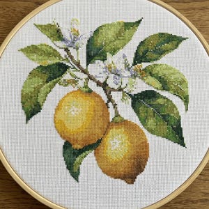 Kruissteekpatroon citroentak | Citrus Botanical (digitale download)
