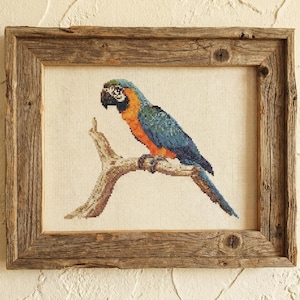 Blue and Gold Macaw Cross Stitch Pattern PDF | Tropical Parrot on Driftwood | Jungle Bird Embroidery | Botanical Animal Template