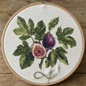 Fig Cross Stitch Pattern | Modern Botanical Embroidery (PDF)