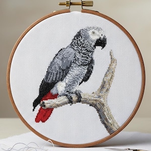 Modèle de point de croix perroquet gris d'Afrique – broderie d'oiseau réaliste (PDF)