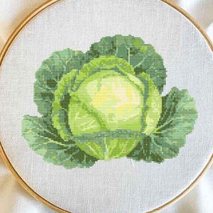 May include: A cross-stitch embroidery of a cabbage in a wooden hoop. The cabbage is rendered in shades of green and yellow, with detailed leaf patterns. The background is white fabric.