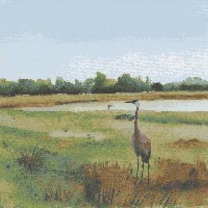 May include: A brown crane stands in a grassy field with a blue sky and green trees in the background.