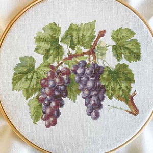 May include: Cross-stitch embroidery of two bunches of grapes with green leaves and brown vines. The grapes are purple and the leaves are green. The embroidery is set in a wooden hoop.