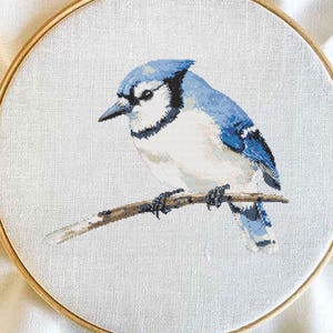 Op de afbeelding: Een blauwe gaaien met een witte borst en zwarte ogen, zittend op een tak. De vogel is afgebeeld in een kruissteek-borduurpatroon op een witte stoffen achtergrond.