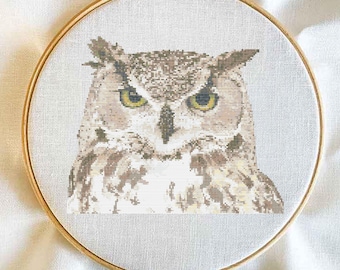 May include: A close-up of a brown and white owl with yellow eyes. The owl is looking directly at the camera. The owl is embroidered on a white canvas.
