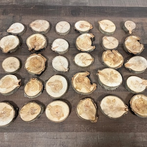 30 Small Aspen Slices.   Assorted size and shape.