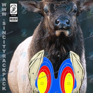 May include: A close-up of a bull elk target with a vital zone target overlay. The target is printed on a white background with a brown elk image. The target has a blue, red, and yellow ring around the center.