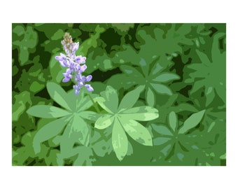 Botanical Floral Flowers Wall Art Scenery Landscape PNW Home Decor Lupine Washington Northwest Poster Print Card Mother's Day Gift