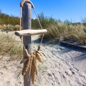 Decorazione da parete in legno galleggiante per giardino, spiaggia, casa, arredamento rustico, arredamento unico per la casa, arredamento costiero, arredamento per la casa sulla spiaggia, mobile da giardino in legno per esterni, regalo ecologico