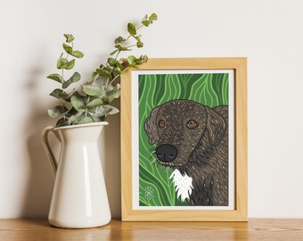 Pets illustration