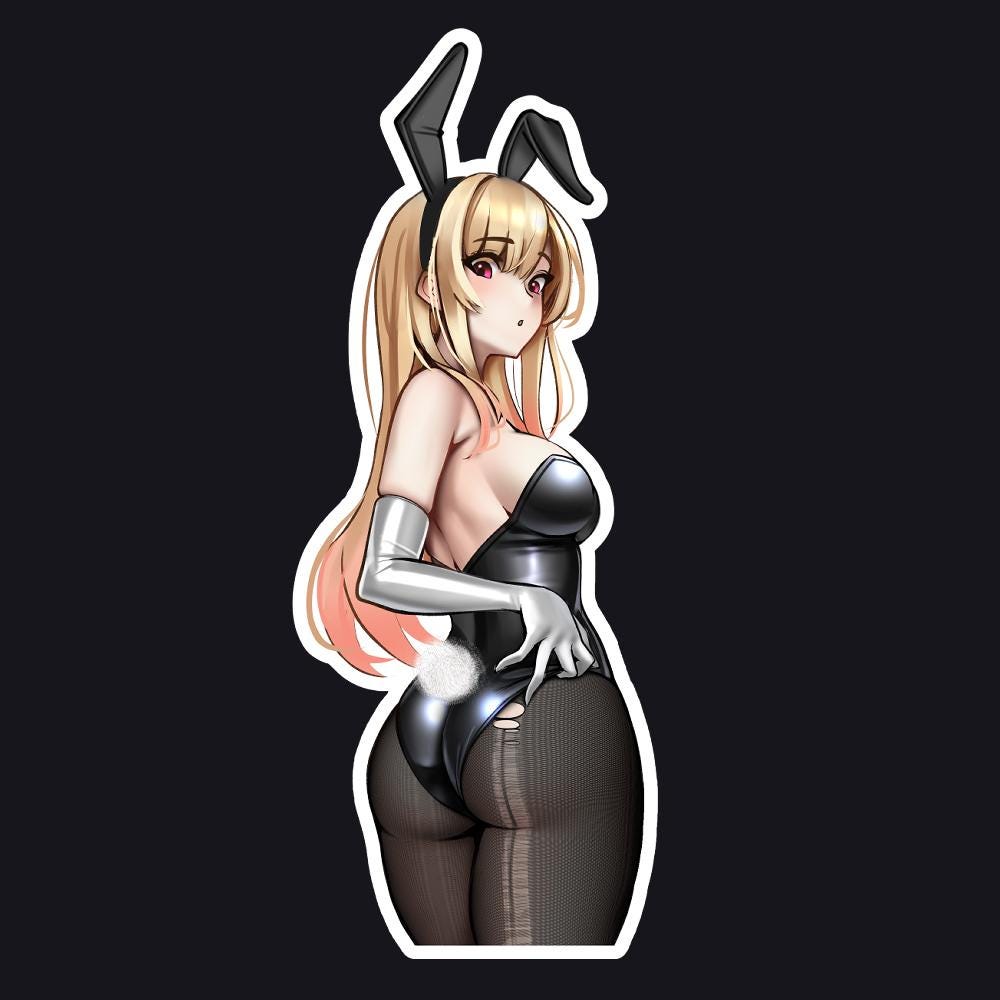 Anime Bunny Suit - Etsy