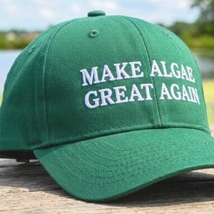 Può includere: Un cappellino da baseball verde con il testo ricamato in bianco MAKE ALGAE GREAT AGAIN sul pannello frontale. Il cappellino presenta una corona strutturata, una visiera curva e un bottone sulla parte superiore, realizzato in tessuto verde tinta unita.