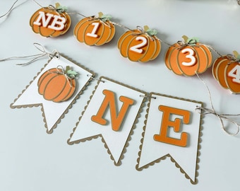 First Birthday Banner, ONE Highchair Banner, Pumpkin Birthday Party Decor, Baby Photo Banner, Pumpkin Garland