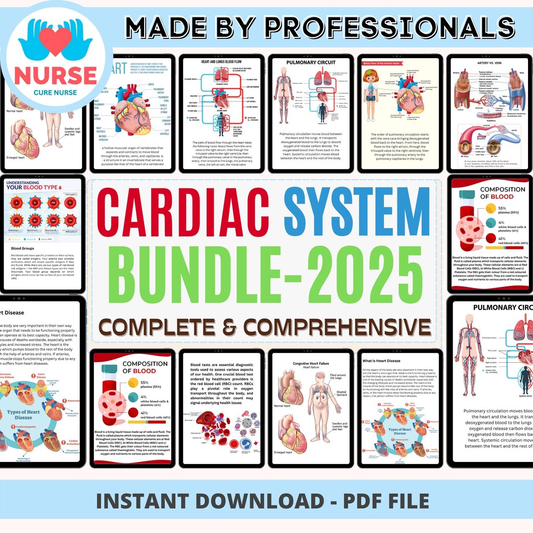 Cardiovascular System Anatomy Notes Instant Download Cardiac Nurse ...