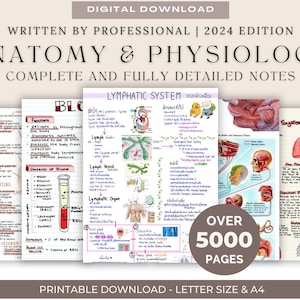 Anatomy & Physiology Bundle with Flashcards and Stickers | Anatomy Study Guide | Nursing School Notes | Medical Notes | Instant Download PDF