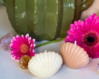 Decorative candle, small shell candle, sea shell candle, Shell candle, handmade candles, organic soy candle, vegan candles.