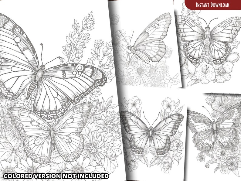 Butterfly on Flower Coloring Pages for Adults and for Kids for Relax ...