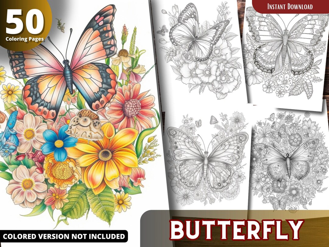 Butterfly on Flower Coloring Pages for Adults and for Kids for Relax ...