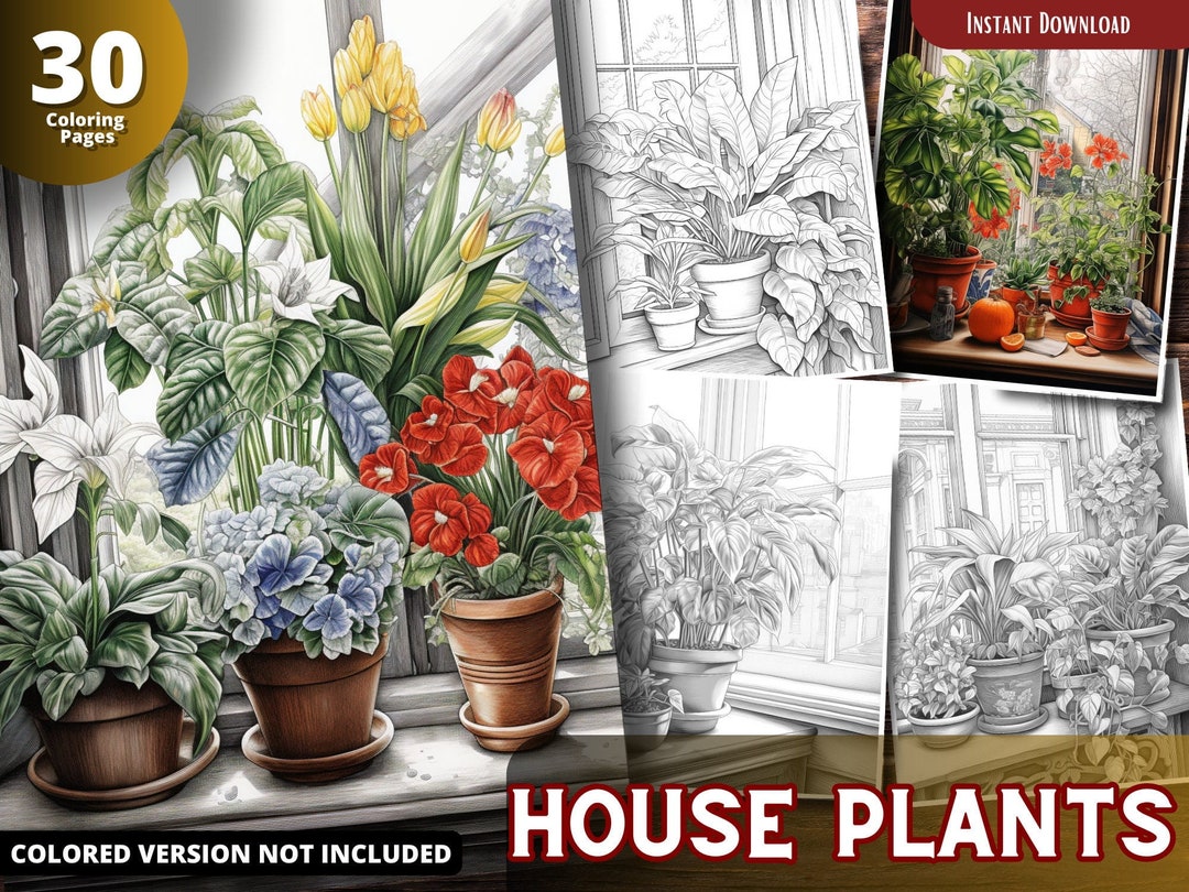 House Plants Coloring Pages for Adults and for Kids, Grayscale Coloring ...