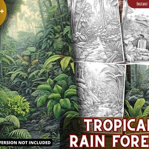 May include: A digital colouring book featuring a lush tropical rainforest scene with a winding stream. The image is in black and white and includes the text "TROPICAL RAIN FOREST".