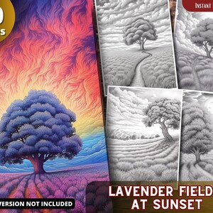 May include: A digital coloring book with 10 pages featuring a lavender field at sunset with a single tree in the center. The image is in black and white, ready to be colored.