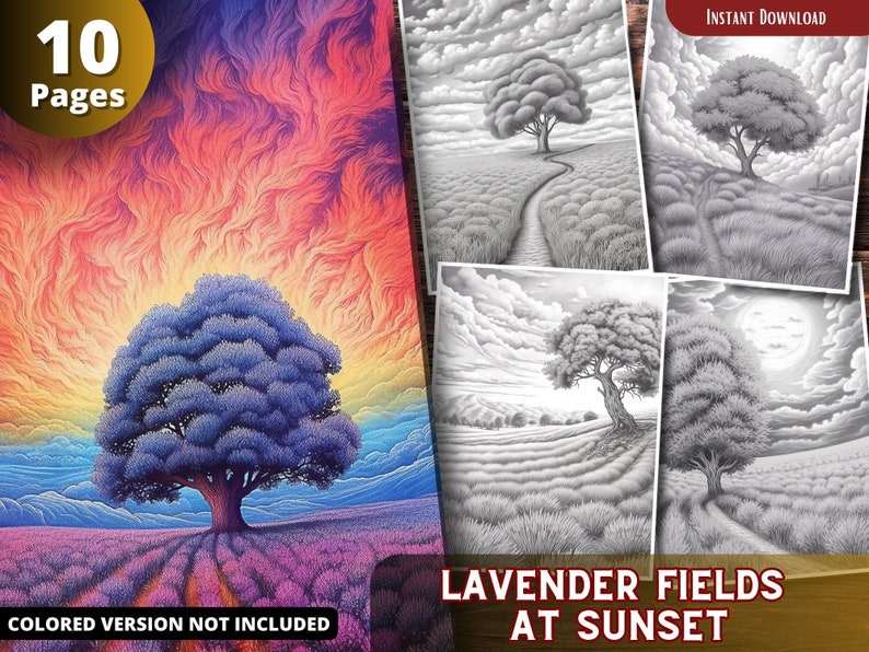 May include: A digital coloring book with 10 pages featuring a lavender field at sunset with a single tree in the center. The image is in black and white, ready to be colored.
