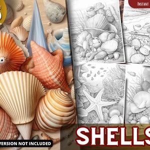 Shells Coloring Pages Pages for Adults and for Kids for Relax and Stress Relief, Grayscale Coloring Book, Printable PDF