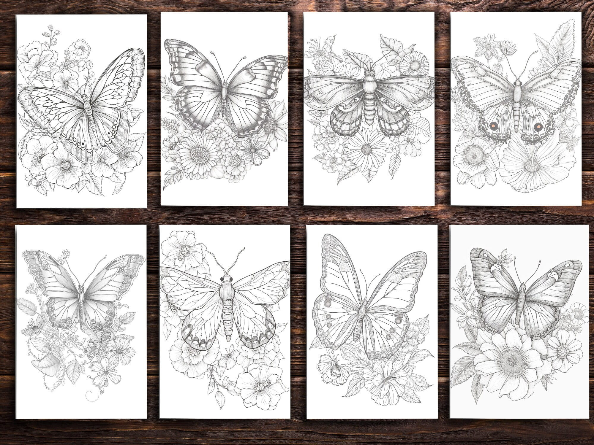 Butterfly on Flower Coloring Pages for Adults and for Kids for Relax ...