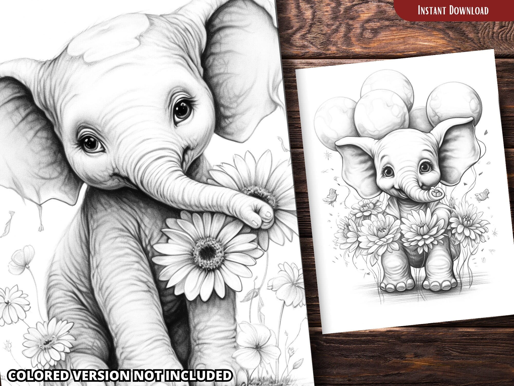 Cute Elephant Coloring Pages for Adults and for Kids for Relax and ...