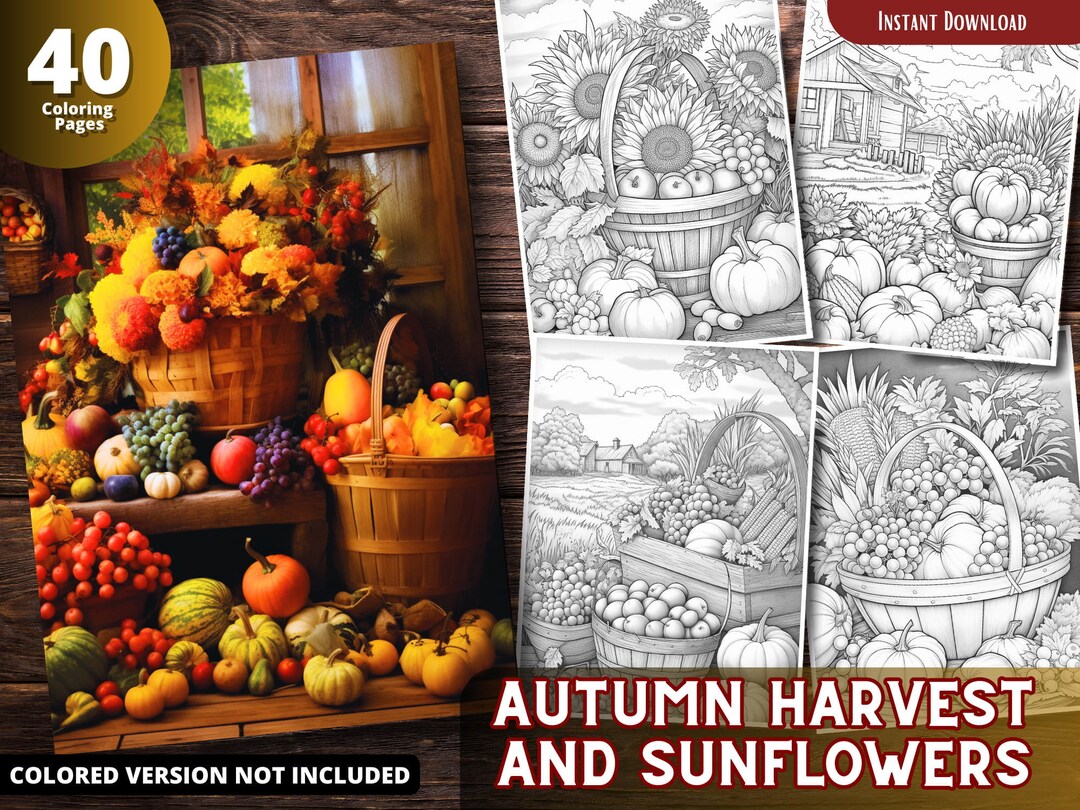 Autumn Harvest Grayscale Coloring Pages Adults Kids printable PDF Autumn Harvest Grayscale Coloring Pages Adults Kids printable PDF