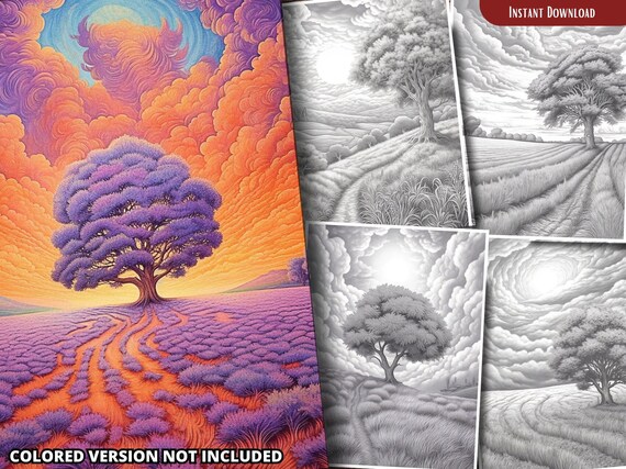 Lavender Fields at Sunset Coloring Pages for Adults and for Kids  Grayscale Coloring, Printable PDF