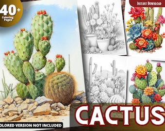 Desenhos de cactos para colorir em tons de cinza para adultos e crianças (PDF para imprimir)