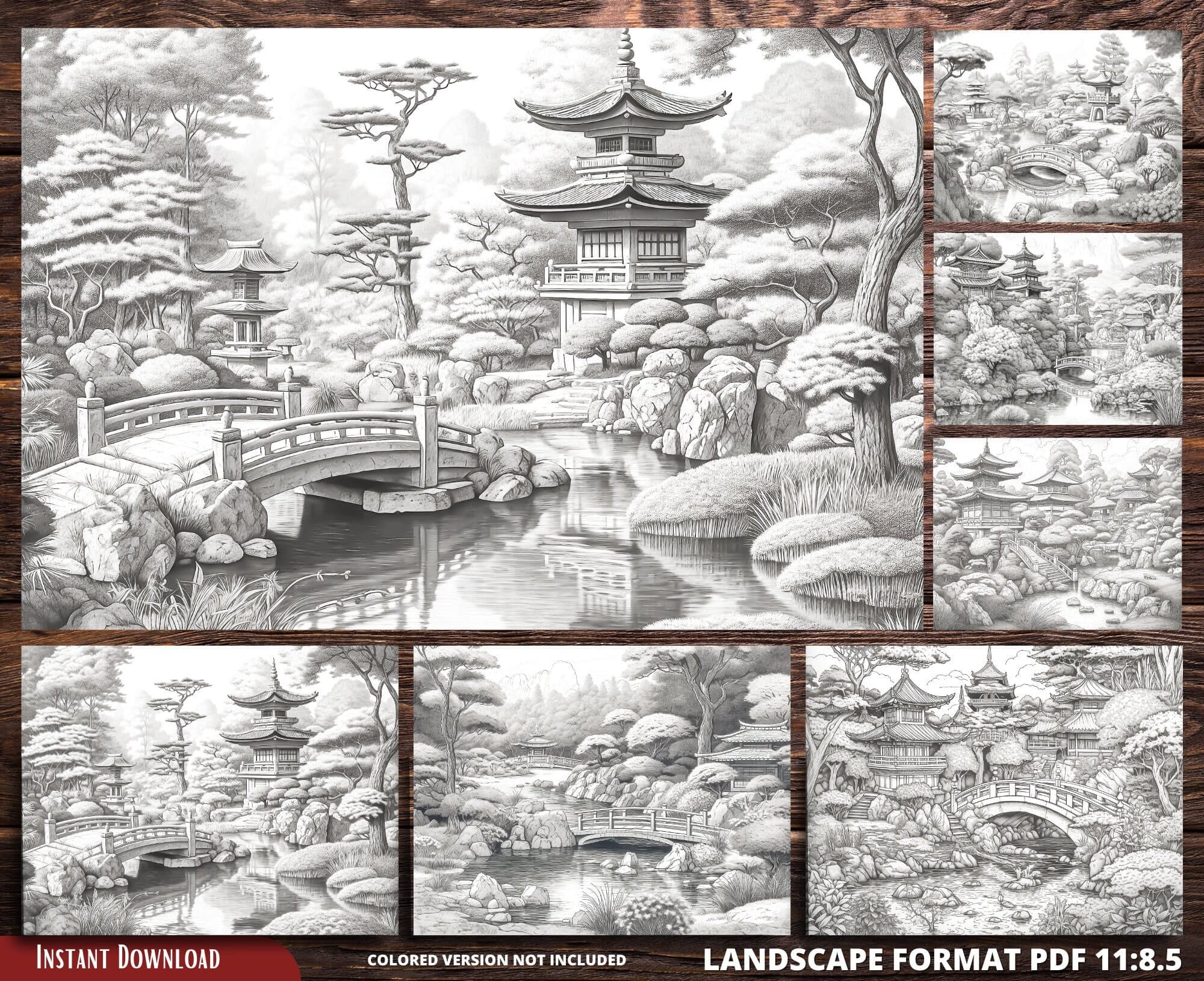 Japanese Garden Coloring Pages for Adults and for Kids for Relax and