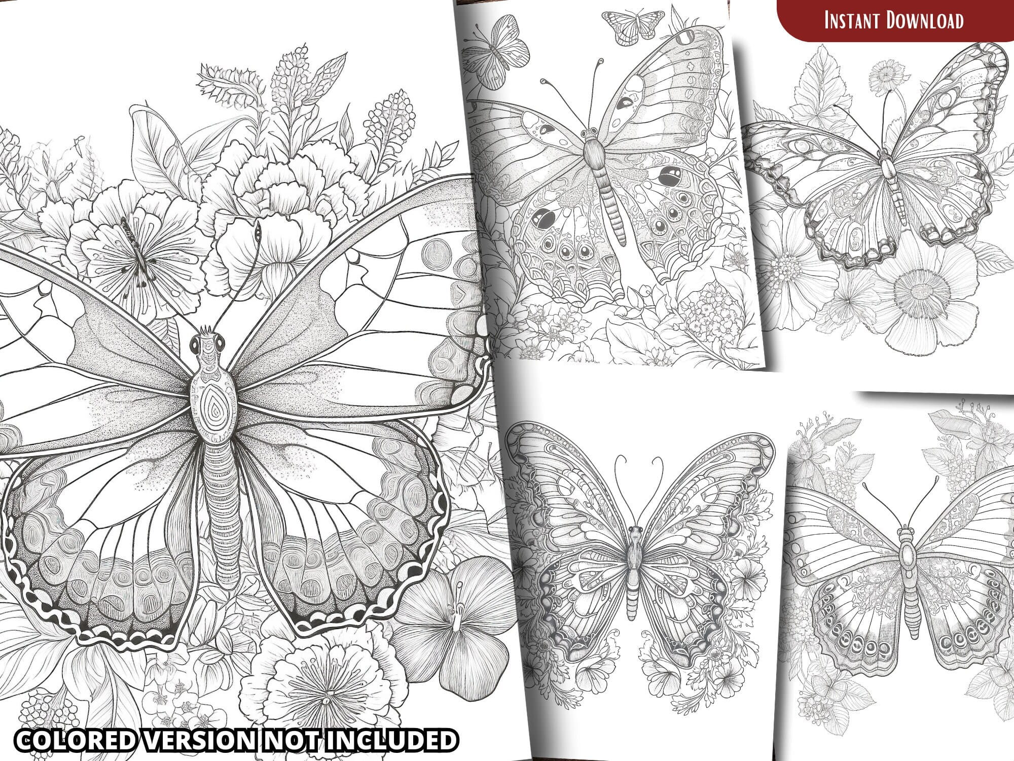 Butterfly on Flower Coloring Pages for Adults and for Kids for Relax ...