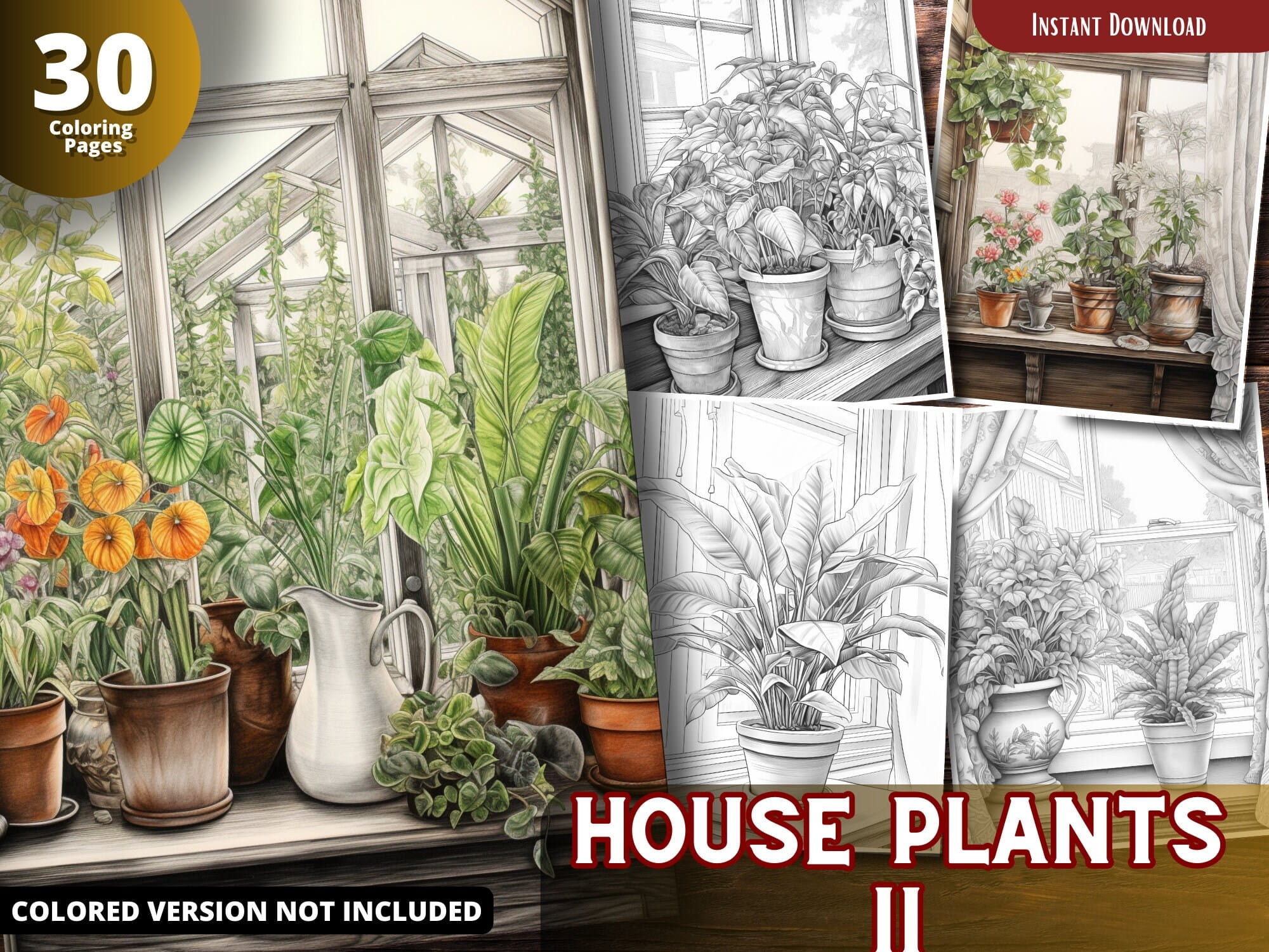 House Plants Coloring Pages for Adults and for Kids, Grayscale Coloring ...
