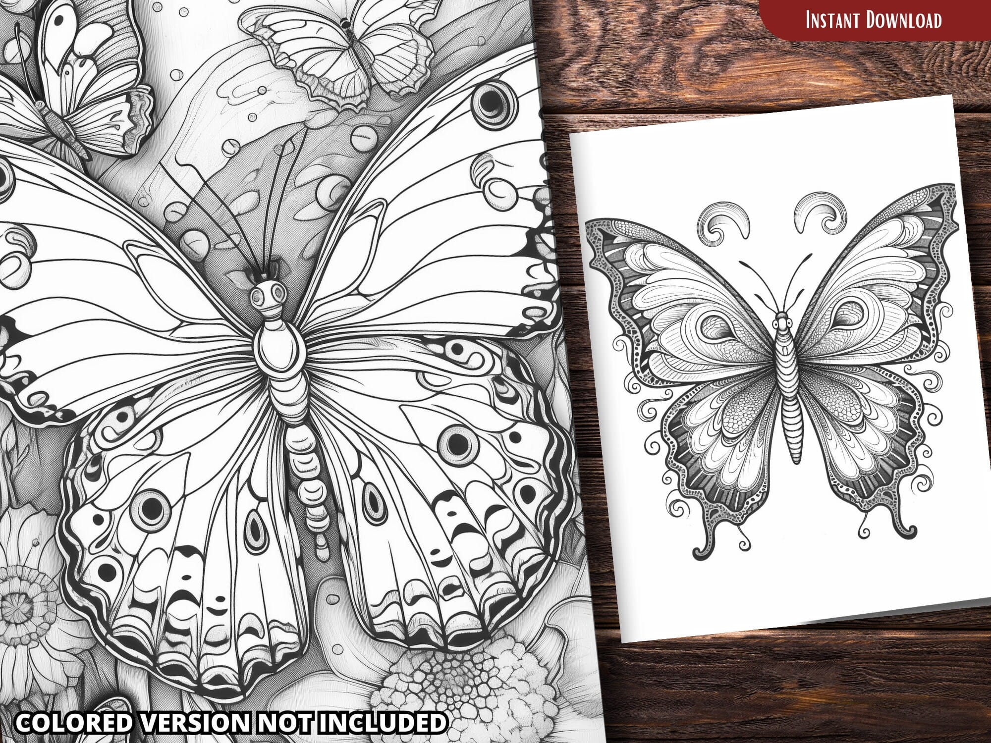Butterfly Coloring Pages for Adults and for Kids for Relax and Stress