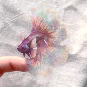 May include: A colorful sticker of a betta fish with a large, flowing tail. The fish is primarily purple with pink and iridescent highlights. The sticker is held by a finger against a white fabric background.
