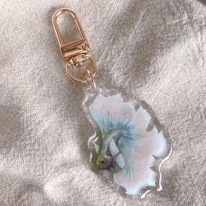 May include: A clear acrylic keychain featuring a detailed illustration of a betta fish with white and blue fins. The keychain has a gold-colored clasp.