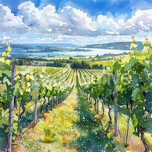17 progetti di vigneti estivi di alta qualità, campo di uva ad acquerello, cantina francese, paesaggio estivo, uso commerciale artigianale Download immediato