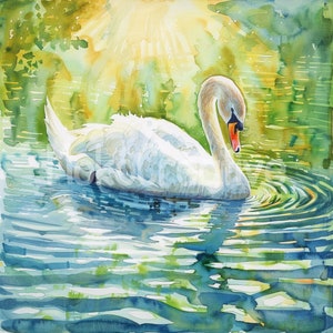 14 dessins de haute qualité en forme de cygne dans un lac, art mural aquarelle nageant cygne, fabrication de cartes, impression numérique, usage commercial, téléchargement immédiat
