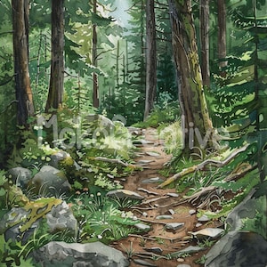 11 hochwertige Waldwanderwege Designs, Aquarell Waldweg, Wandkunst, Kartenherstellung, Digitaldruck, kommerzielle Nutzung Sofort-Download