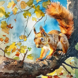 May include: A watercolor painting of a red squirrel perched on a tree branch. The squirrel has a bushy tail and is looking to the left. The background is a blue sky with yellow and orange leaves.