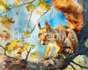 16 High Quality Squirrel Designs, Watercolor Squirrel on Branch Wall Art, Card Making, Digital Print, Commercial Use, Instant Download