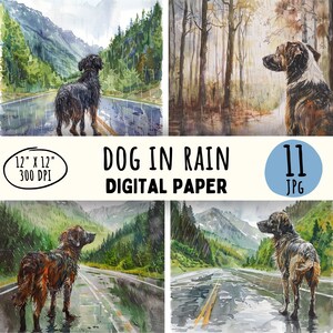 11 diseños de perros bajo la lluvia de alta calidad, acuarela de lluvia de verano, paseo de perros, perro al aire libre, impresión digital, manualidades, uso comercial, descarga instantánea