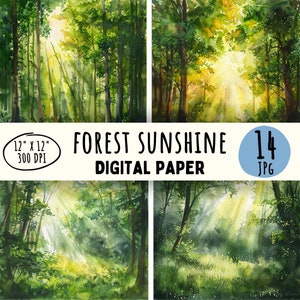 14 disegni di sole della foresta di alta qualità, raggi di sole acquerellati, alberi della foresta estiva, artigianato di stampa digitale per uso commerciale, download immediato