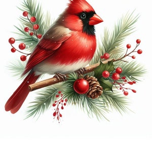 PDF Red Northern Cardinal Bird Cross Stitch Pattern Digital Cross Stitch Chart PDF Cross Stitch Pattern