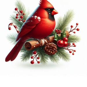 PDF Red Northern Cardinal Bird Cross Stitch Pattern Digital Cross Stitch Chart PDF Cross Stitch Pattern